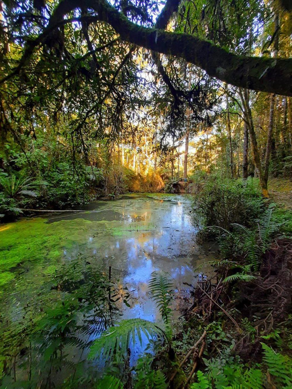 Recanto Paraiso Aventuras Rio Negrinho Buitenkant foto